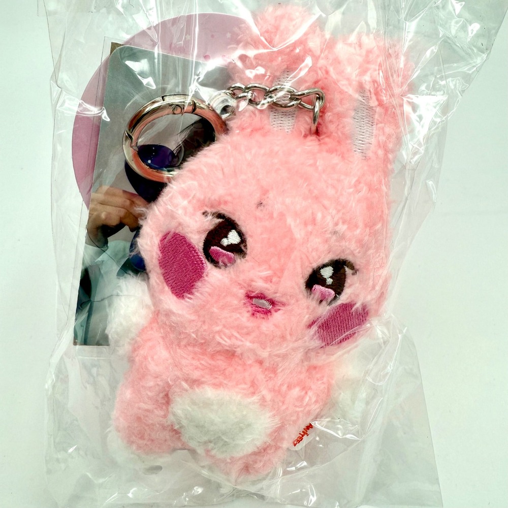 ATEEZ ANITEEZ IN TREASURE DDEONGbyeoli Plush Keychain Pink Official K-Pop NEW
